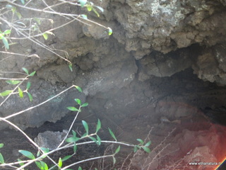 Grotta Angelo Musco